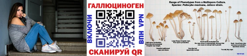 Псилоцибиновые грибы Cubensis Белогорск